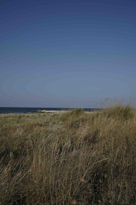 Casa Vacanze Campomarino  Exteriör bild